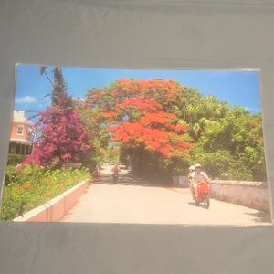 Laminated Placemat Royal Pams Club Bermuda Islands